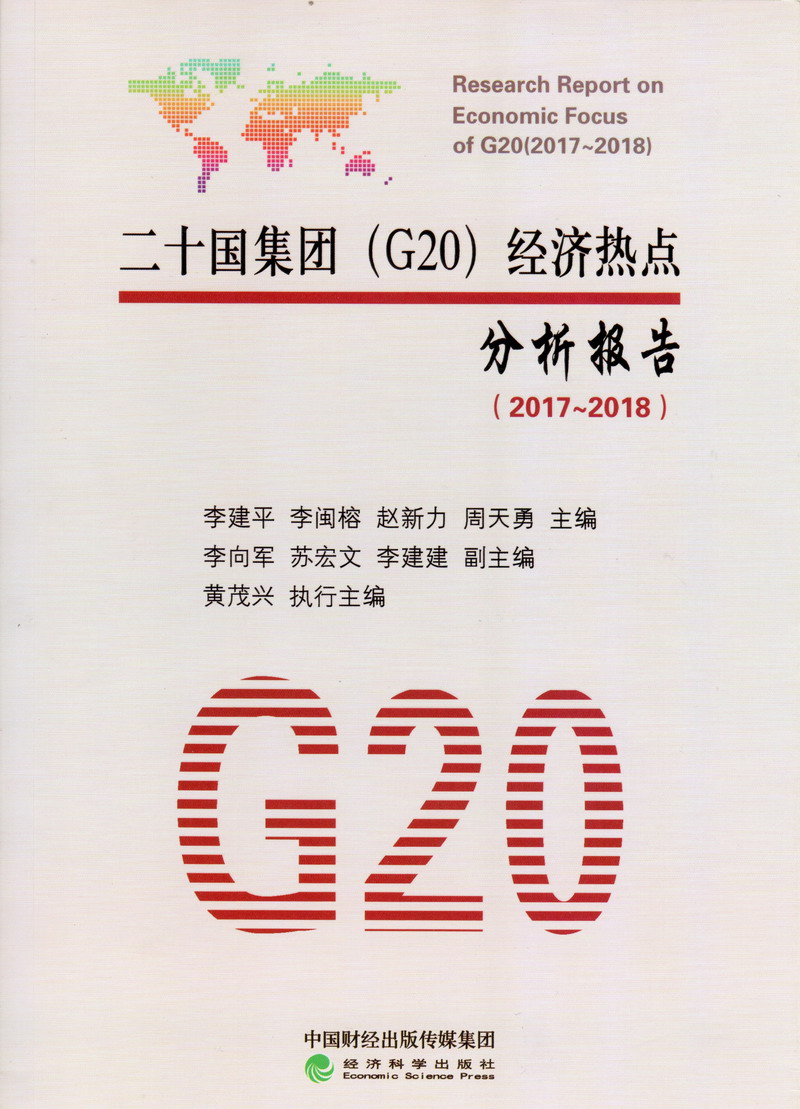 我想操逼二十国集团（G20）经济热点分析报告（2017-2018）