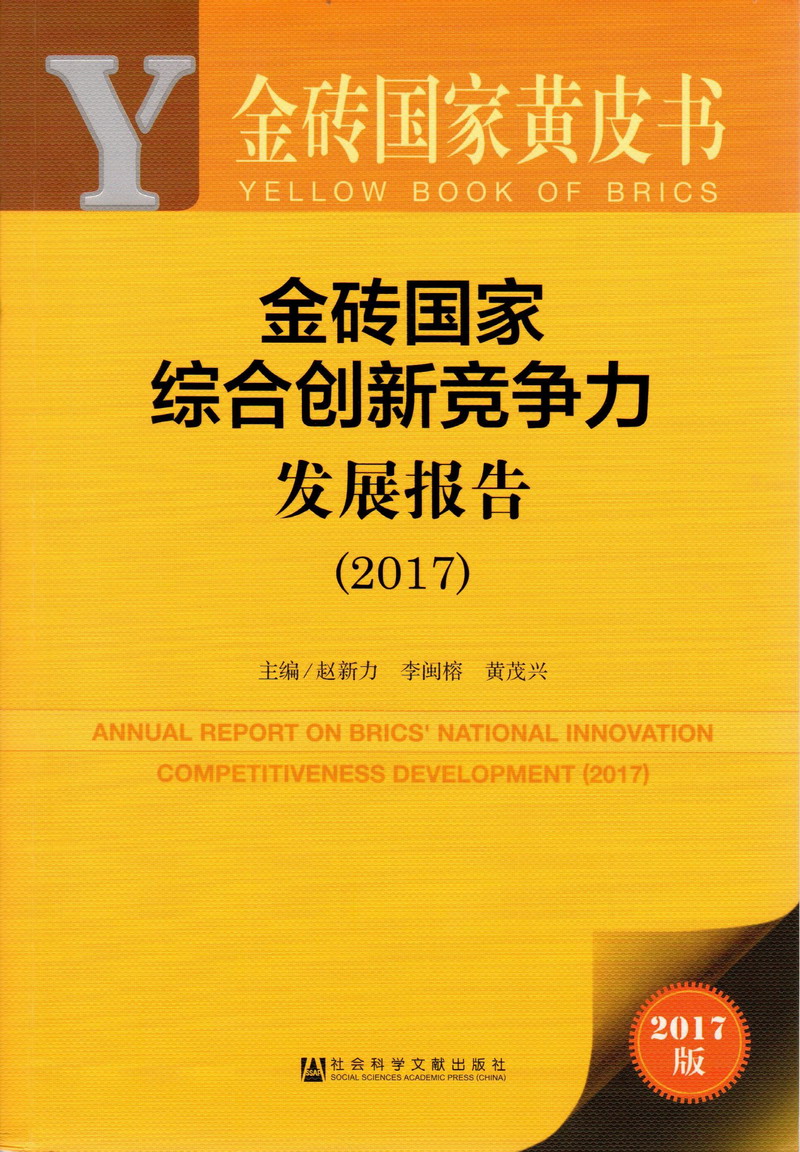 我要看黄色操逼金砖国家综合创新竞争力发展报告（2017）